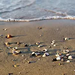 In 45680 Bibione